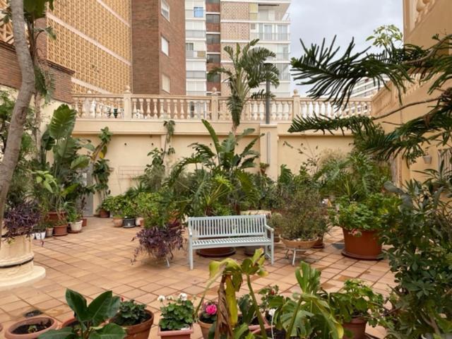 Precioso Apartamento A Estrenar En Primera Linea De Playa Benidorm Exteriör bild
